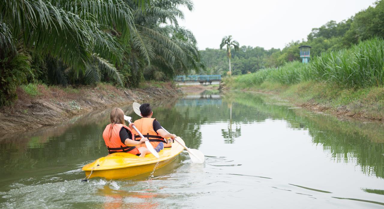 Sinar Eco Resort Kampong Bukit Panjang Dış mekan fotoğraf