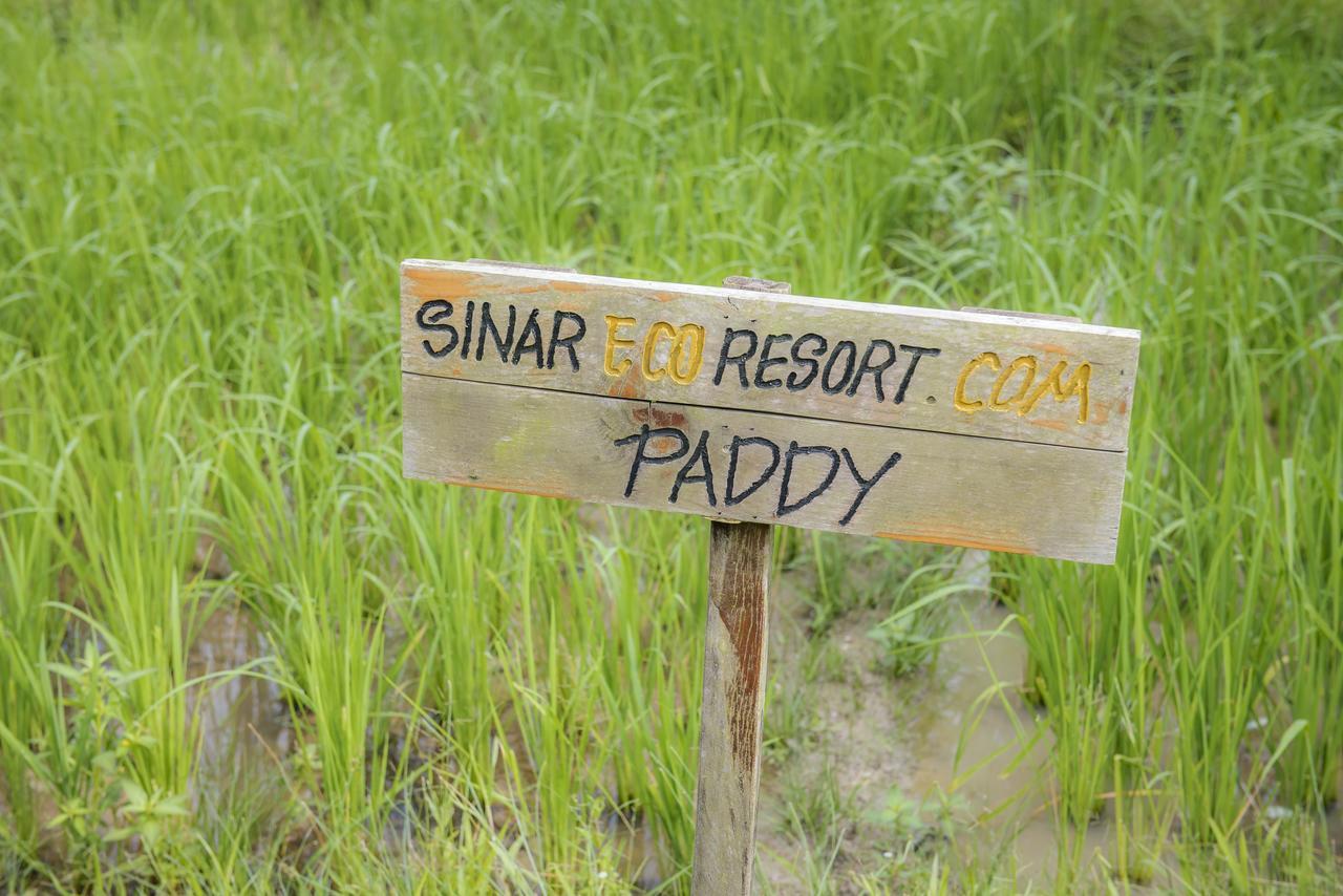 Sinar Eco Resort Kampong Bukit Panjang Dış mekan fotoğraf