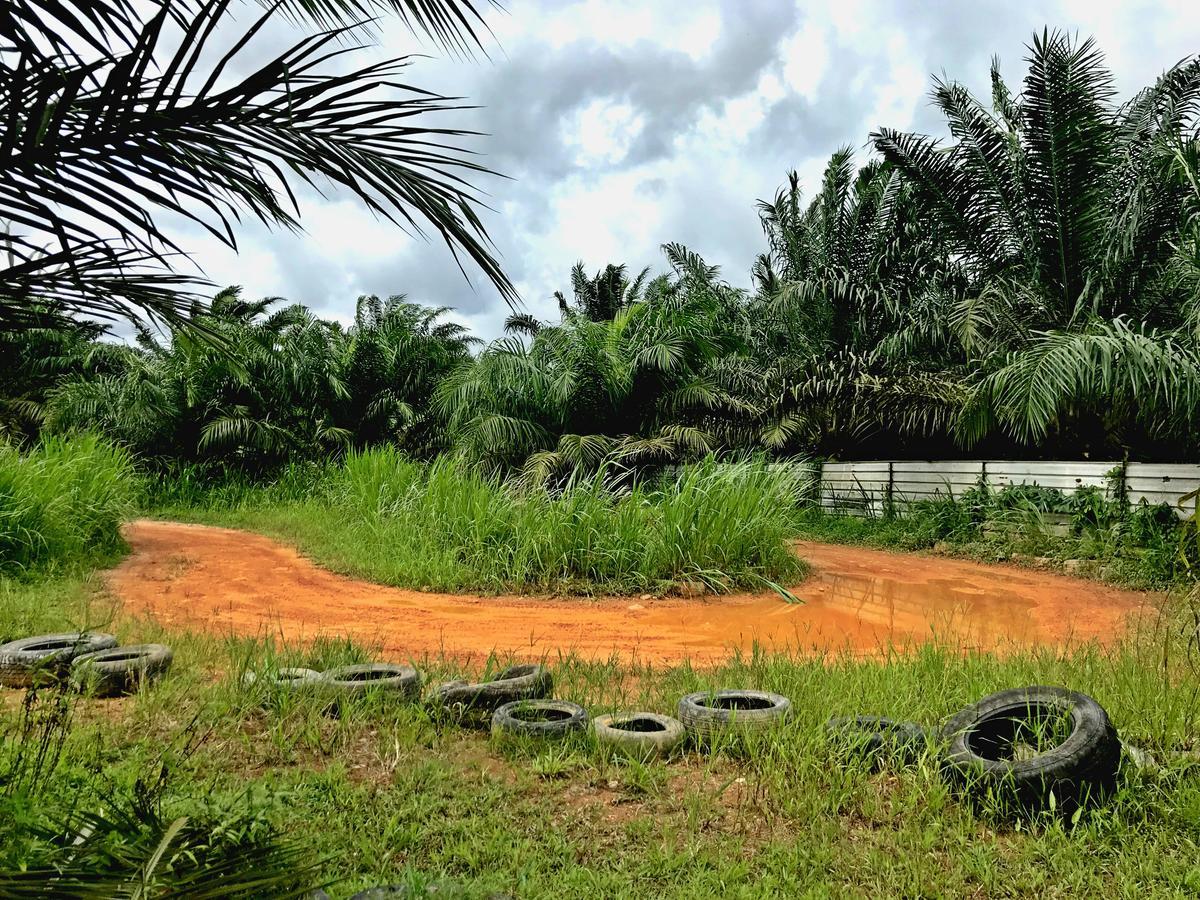 Sinar Eco Resort Kampong Bukit Panjang Dış mekan fotoğraf